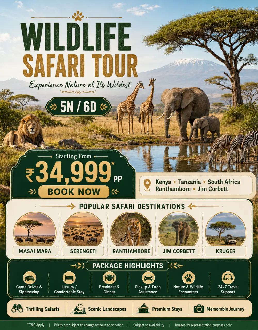 Wildlife Safari